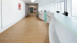 Project Floors Klebevinyl - floors@home20 PW 3110/20 (PW311020)