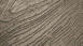 Project Floors Klick Vinyl - Click Collection PW4030/CL55 (PW4030CL55)