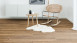 Wineo Klick-Vinyl - 400 wood XL Comfort Oak Mellow (DLC00129)