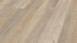 Wineo Bioboden - 1500 wood XL Klebevinyl Queen's Oak Pearl (PL097C)
