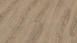 Wineo Klick-Vinyl - 800 wood XL Clay Calm Oak (DLC00062)