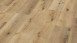 Wineo Klick-Vinyl - 800 wood XL Corn Rustic Oak (DLC00064)