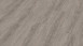 Wineo Klick-Vinyl - 800 wood XL Lund Dusty Oak (DLC00065)