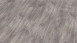 Wineo Klick-Vinyl - 800 wood Riga Vibrant Pine (DLC00082)