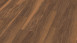 Wineo Klick-Vinyl - 800 wood Sardinia Wild Walnut (DLC00083)