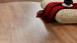 KWG Klebevinyl - Antigua Infinity Wintereiche (930117)