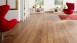 KWG Klebevinyl - Antigua Infinity Wintereiche (930117)